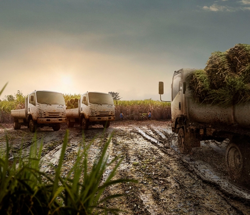 Consejos para elegir carrocería | Buses y Camiones Chevrolet Camión Colombiano