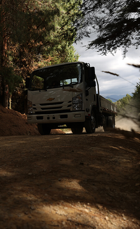 image banner CON MI NPR EURO IV